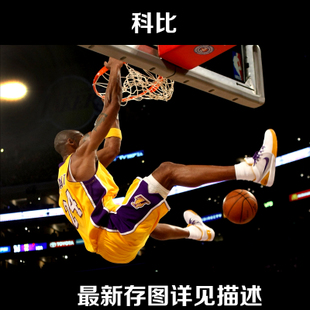 MountHolyokeCollege成绩单